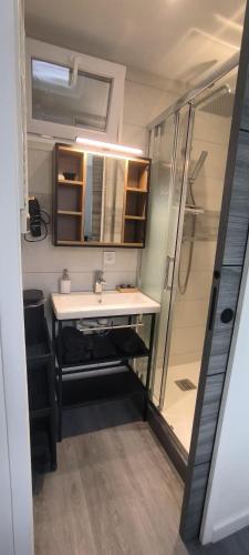 une salle de bain avec un lavabo et une douche dans l'établissement Appartement Emplacement Numéro1 Sanary - Plage et port à pied, à Sanary-sur-Mer