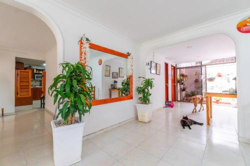 Foto dalla galleria di ORESCA Hostel a Cartagena de Indias