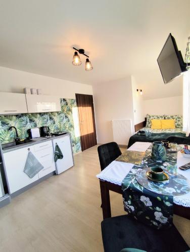 Dapur atau dapur kecil di Apartamenty u Rybaka