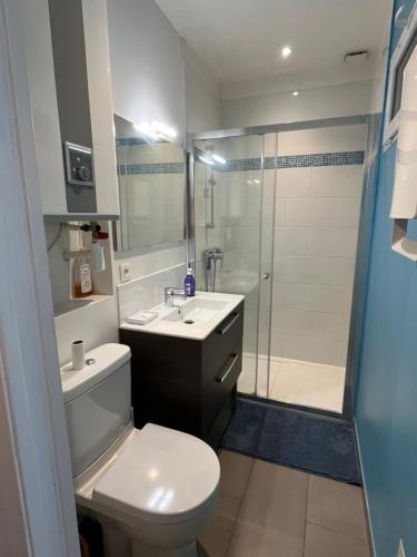 une salle de bain avec toilettes, lavabo et douche dans l'établissement Appartement climatisé Centre Ville Sète, à Sète