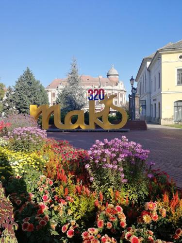 a sign that reads januari in a garden of flowers at Polár in Makó