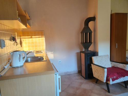 巴伊纳巴什塔Apartmani Petrovic Tara的带水槽和炉灶的厨房