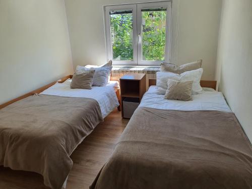 巴伊纳巴什塔Apartmani Petrovic Tara的两张床位于一个有窗户的房间里