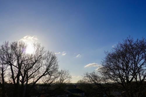 a blue sky with the sun behind some trees at Stunning 4BR, Garden,Parking - Oakview in Colchester