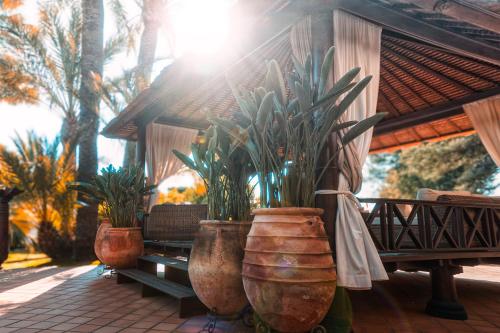 a group of potted plants in large vases on a patio at SWISS MORAIRA HOTEL & SPA - Adults only in Moraira