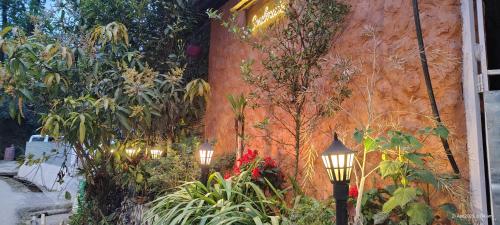 a group of lights in a garden with plants at A&A Apartment in Namchi