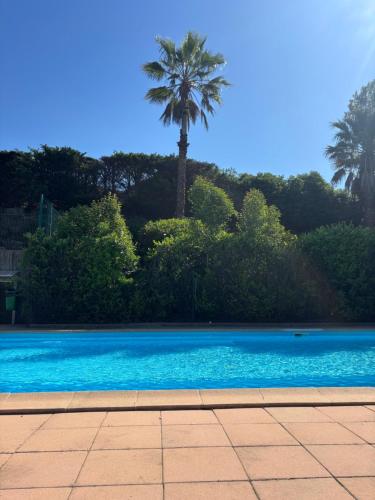 a blue swimming pool with a palm tree in the background at Maison Antibes avec jardin privatif, 4 chambres, calme dans résidence avec piscine in Antibes