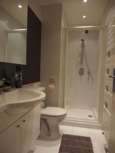 une salle de bain avec une douche, des toilettes et un lavabo dans l'établissement Superbe 2 pièces à Cannes, à Cannes