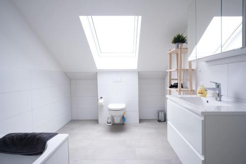 a white bathroom with a toilet and a sink at Wackenhuus 4 Albersdorf in Albersdorf