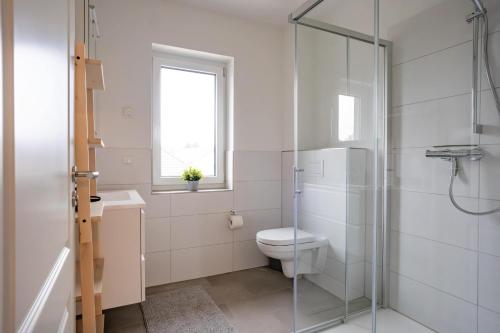 a bathroom with a toilet and a glass shower at Wackenhuus 4 Albersdorf in Albersdorf