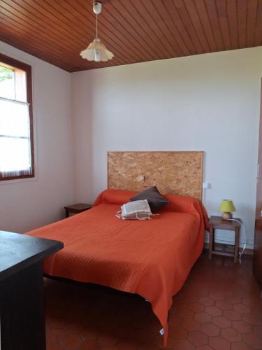 a bedroom with a bed with an orange bedspread at Charmante maison en pleine montagne basque in Saint-Jean-Pied-de-Port