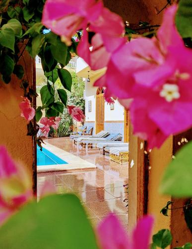 a view of a swimming pool with pink flowers at Villa Belzoni in Luxor
