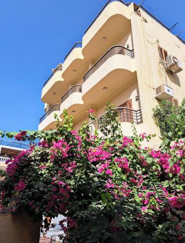 a building with pink flowers in front of it at Villa Belzoni in Luxor