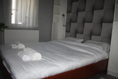 Gallery image of Old Bazaar City Center Apartment in Skopje