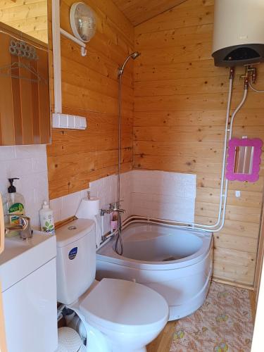a bathroom with a toilet and a bath tub at Namelis Karklėje in Karklė