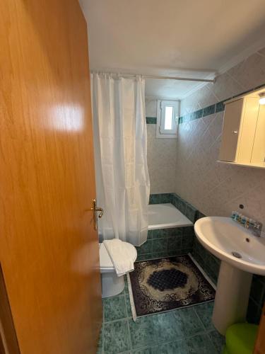 a bathroom with a shower and a toilet and a sink at βίλα Ολγα in Kolónion