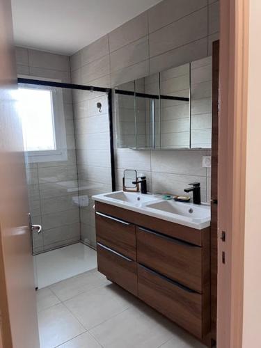 une salle de bain avec un lavabo et une douche dans l'établissement Belle villa rénovée, vue sur les Albères, à Argelès-sur-Mer