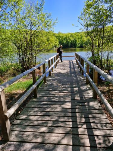 a man walking across a wooden bridge over a lake at Ferienhaus an der Brunnenaue 4 Sterne, E-Ladestation am Haus, Wlan, Netflix, Garten in Sagard