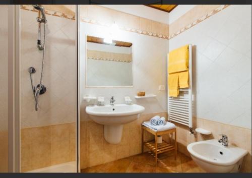 丰特博兰达Agriturismo La Sorgente的带水槽、马桶和淋浴的浴室