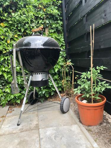 a grill sitting on a patio next to two plants at Veluws vakantiehuisje Kawoeper Lodge in Ermelo
