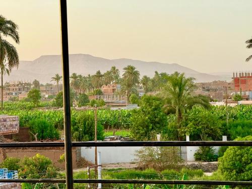 a view of a city with palm trees and mountains at White Gorf Hotel in Luxor