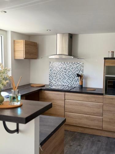 une cuisine avec des armoires en bois et un four à plaques de cuisson dans l'établissement Appartement 3 pièces, à Montgaillard