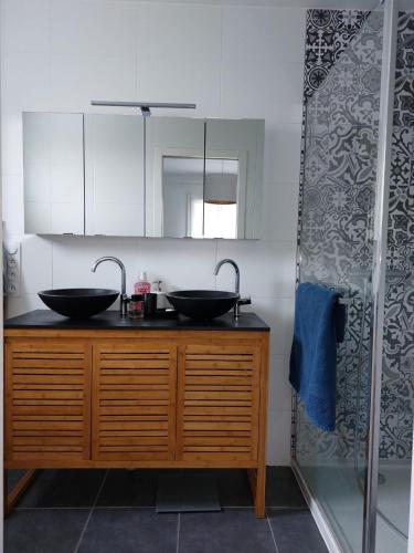 une salle de bain avec deux lavabos et une douche dans l'établissement Bienvenue chez PO et Marie, à Montferrier-sur-Lez