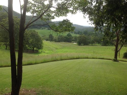 a large green field with trees and hills in the background at Friday Creek Retreat in Coffs Harbour
