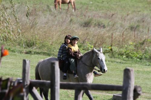 two people riding on a horse in a field at Complejo Dulcería El Cazador y cabañas in Tandil