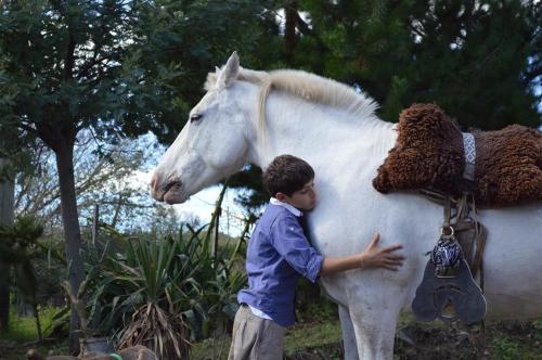 a young boy standing next to a white horse at Complejo Dulcería El Cazador y cabañas in Tandil