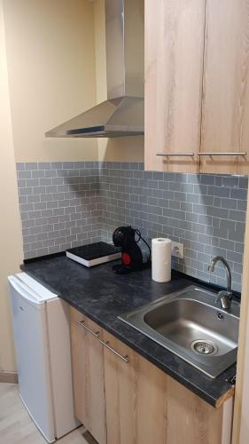 a kitchen with a sink and a counter top at Estudios 85 - Cerca de Madrid, Toledo y Parque Warner in Parla