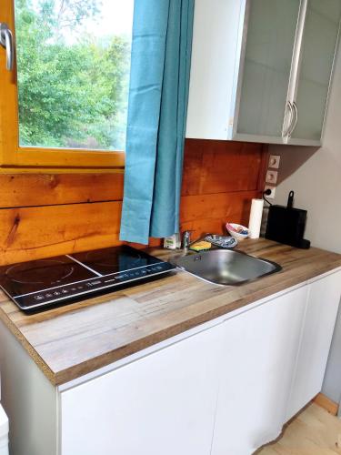 un comptoir de cuisine avec un évier et une fenêtre dans l'établissement Studio éco-construit - climatisation & parking, à Nanteuil-lès-Meaux