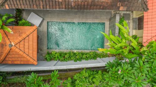an overhead view of a swimming pool in a garden at Villa Naynaka in Seminyak