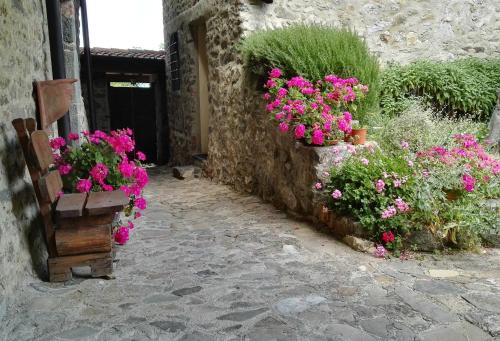 Κήπος έξω από το La Costa Di Gavedo