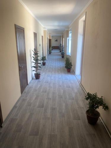 Galeriebild der Unterkunft Hostel INN Andijan in Andizhan