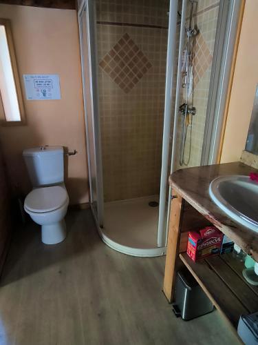 a bathroom with a shower and a toilet and a sink at Chalet d'alpage au coeur du Parc naturel du Queyras - exceptionnel in Valpreveyre