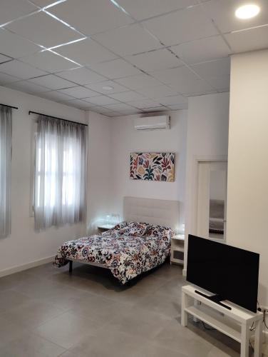 Apartamento Málaga Centro