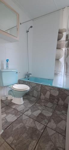ein Badezimmer mit Toilette und Waschbecken in der Unterkunft Hidden Cottage in Bredasdorp