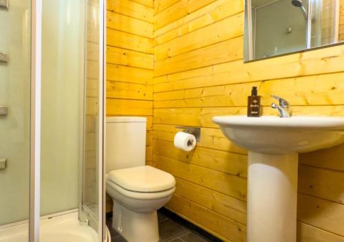 a bathroom with a toilet and a sink at Cabane Taillis - Glamping on a Vineyard - Wooden Cabin in Savigné