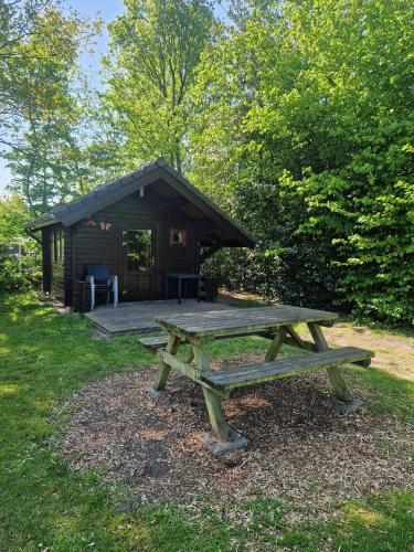 a picnic table in front of a cabin at Camping Alkenhaer Appelscha Blokhut Basic in Appelscha