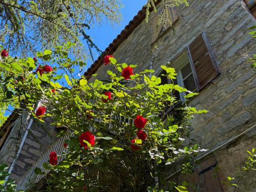 a bush with red roses in front of a building at Housica & Co. in Ucciani