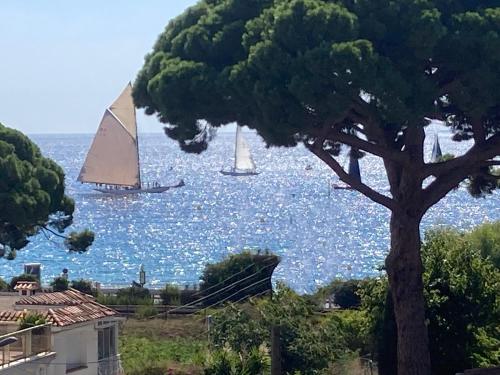 Cannes Beach Access, Private Room in Shared 3-Bedroom Apartment, Private Bathroom, Living Room with Sea View Suite Parentale salle de bain privée accès plages & vue mer du salon dans appartement partagé chez l'habitant في كان: قارب شراعي في الماء مع شجرة