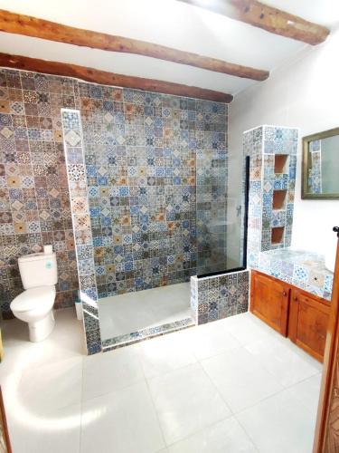 a bathroom with a shower and a toilet and a sink at Villa Riad Ahlam in Sidi Kaouki