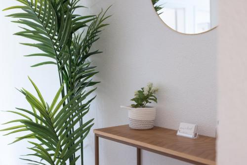 a plant sitting on a table next to a mirror at STAYY Rigi Suites - Self-check-in Premium Apartments - 20min to Lucern - 7min Walk to Lake - Public Transport - Washer Dryer in Küssnacht