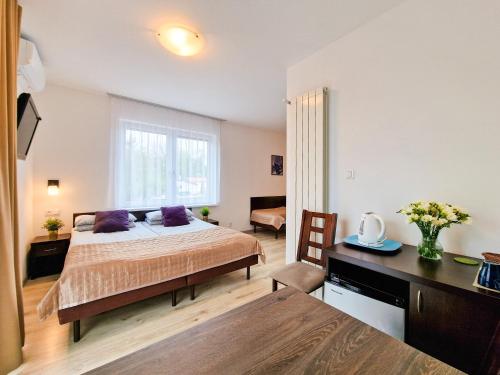 a bedroom with a bed with purple pillows and a desk at Villa Sarema in Chłopy