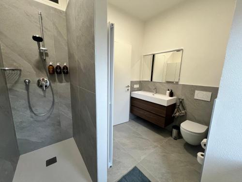 a bathroom with a shower and a toilet and a sink at Appartement Villa Parco Ameno in Germignaga