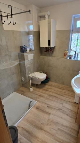 a bathroom with a toilet and a sink at Ferienwohnung Regina in Undenheim