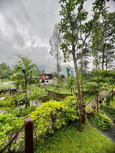 a park with a tree and some bushes and trees at de Pipo Bromo in Sukapura
