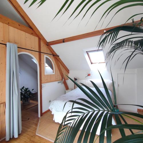 une chambre avec un lit blanc et une plante dans l'établissement Maison de charme dans un environnement exceptionnel, à Vannes