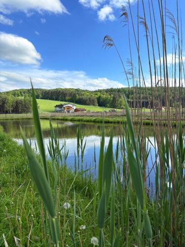 a view of a pond with a house in the background at Urocze Roztocze Jacnia - domek 2 in Jacnia